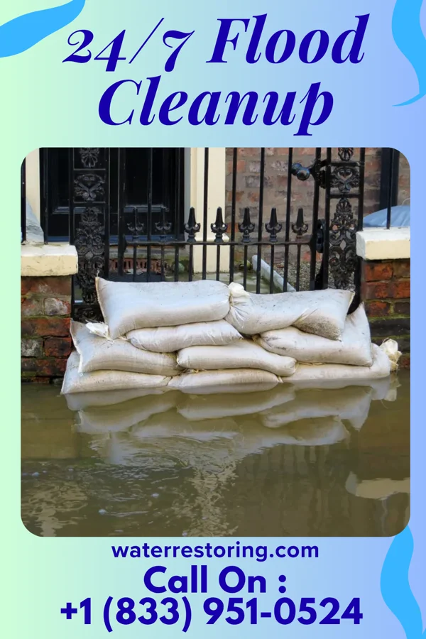 24/7 Flood Cleanup in Laredo, MO