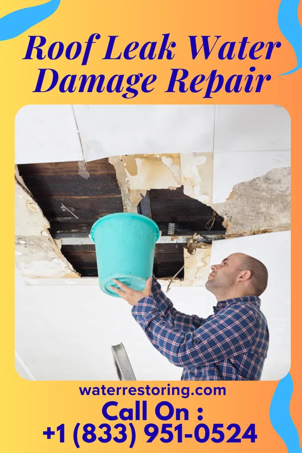 Roof Leak Water Damage Repair in Laredo, MO